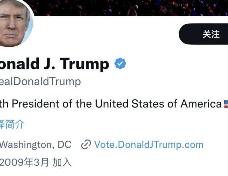 探讨20一个推特账号的利弊：值得投资吗？