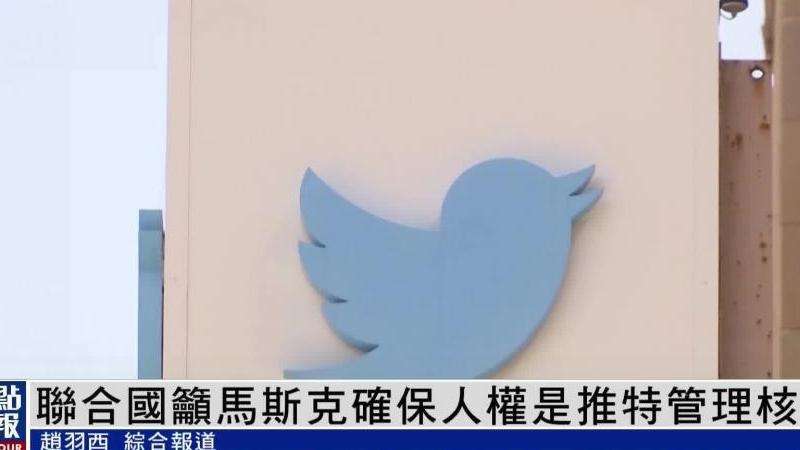 探寻推特账号ckk755的核心观点：攻略与思考