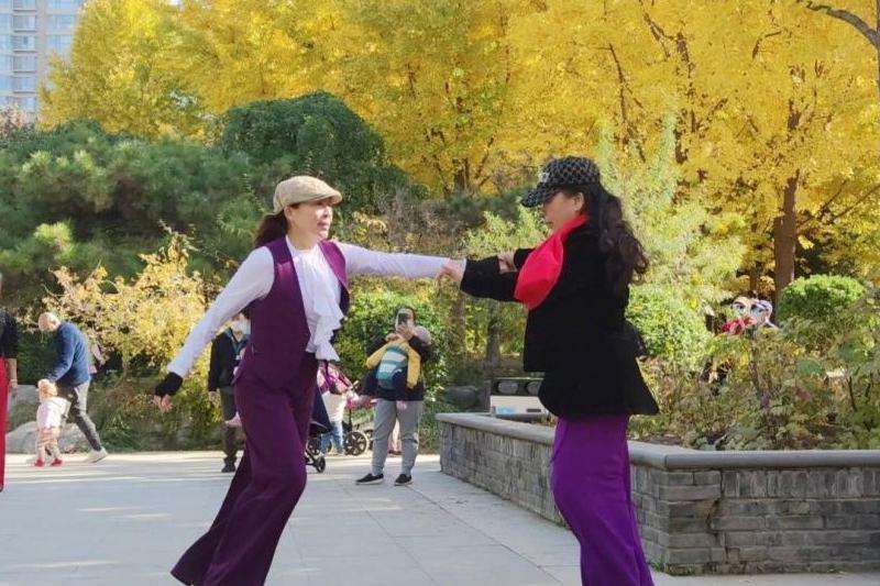 推特账号登录攻略：一步一步教你如何轻松登录推特账号